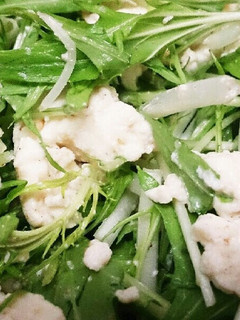 健康診断前の☆豆腐と水菜サラダ-レシピのメイン写真