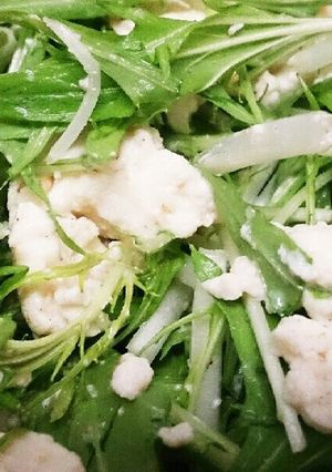 健康診断前の☆豆腐と水菜サラダ-レシピのメイン写真