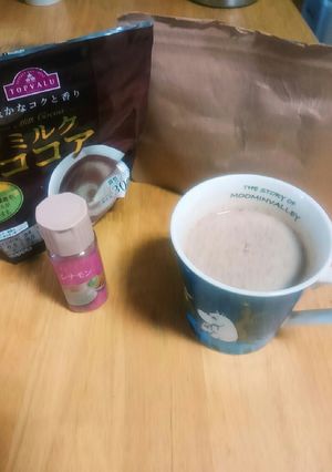 豆乳スパイシーココア-レシピのメイン写真