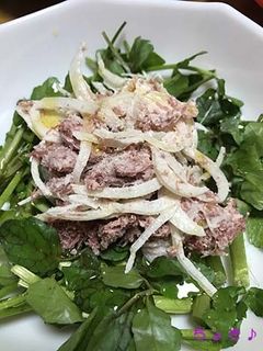 クレソンと食べよう♪ コンビーフサラダ-レシピのメイン写真