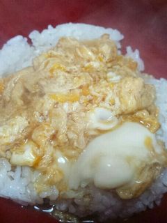リメイク 豚肉じゃがの残り出汁でたまご丼-レシピのメイン写真