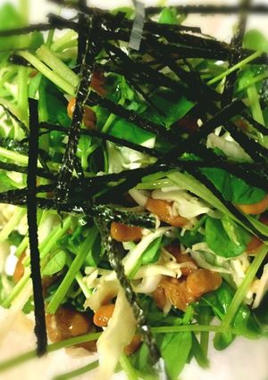 千切りキャベツと豆苗の納豆サラダ！-レシピのメイン写真