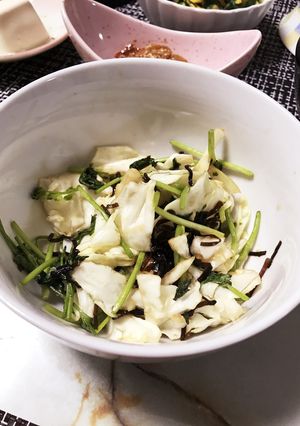 パクチストの簡単塩キャベツ-レシピのメイン写真
