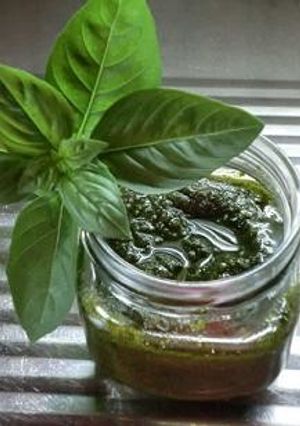 自家製　バジルペースト-レシピのメイン写真