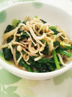 ほうれん草ともやし&えのきの胡麻和え-レシピのメイン写真