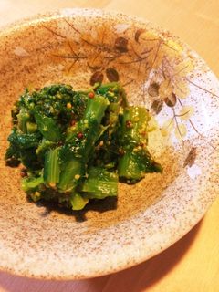 簡単!菜の花のマスタード和え-レシピのメイン写真