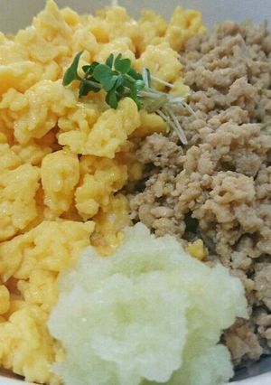 俺のそぼろ飯-レシピのメイン写真