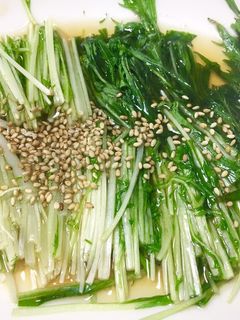 レンジだけで簡単副菜♥水菜のおひたし-レシピのメイン写真