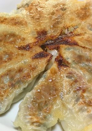 ガッツリヘルシー！野菜たっぷり餃子-レシピのメイン写真