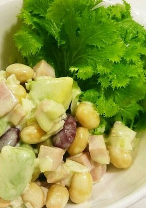 アボカドとお豆のサラダ-レシピのメイン写真