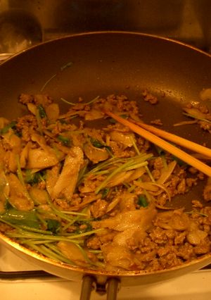 ひき肉とごぼうの梅みそ炒め-レシピのメイン写真