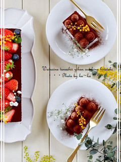 チョコレートケーキ(生チョコケーキ)-レシピのメイン写真