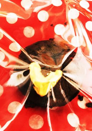 かんたん♫クラウンベリーチョコケーキ♫-レシピのメイン写真