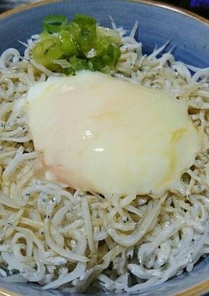 しらす丼-レシピのメイン写真
