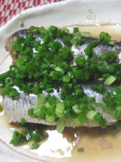 いわしの酢煮-レシピのメイン写真