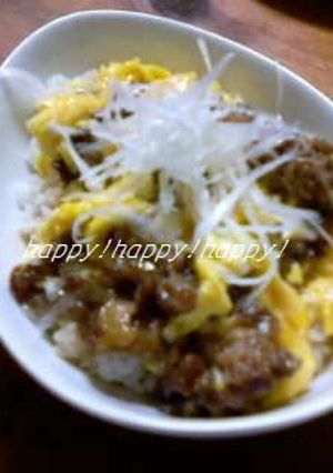 やさしい牛丼-レシピのメイン写真