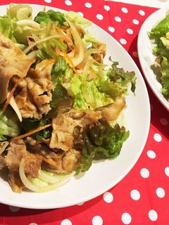 簡単♪豚肉のサラダ-レシピのメイン写真