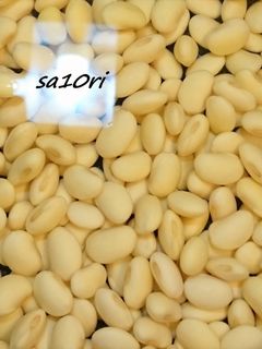 圧力鍋で簡単大豆の水煮-レシピのメイン写真