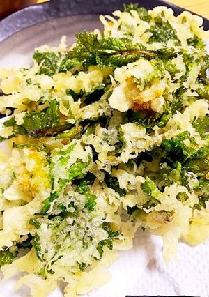 【秘密兵器は】菜の花の天ぷら【保冷剤】-レシピのメイン写真