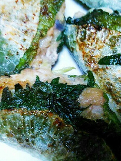 しそ大根餃子-レシピのメイン写真