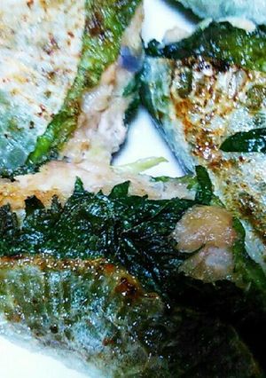 しそ大根餃子-レシピのメイン写真