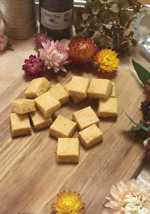 粉チーズとケチャップで甘くないクッキー-レシピのメイン写真