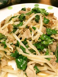 パクチーと豚肉の炒め物-レシピのメイン写真