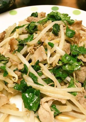 パクチーと豚肉の炒め物-レシピのメイン写真