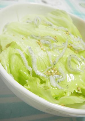 レタス♥♥シラスをもりもり～♬♫酢の物-レシピのメイン写真