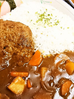 子供大喜び★作り置き【ハンバーグカレー】-レシピのメイン写真