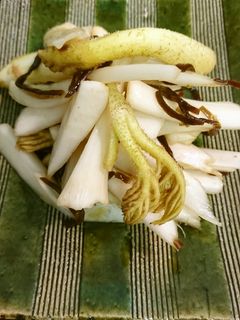 ウドの塩昆布和え-レシピのメイン写真