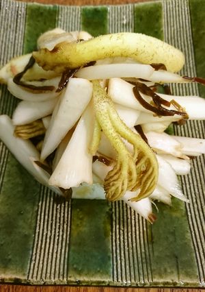 ウドの塩昆布和え-レシピのメイン写真