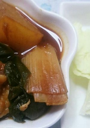 キャベツも添えて鶏肉大根ねぎの赤味噌煮-レシピのメイン写真