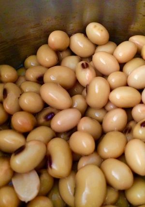 圧力鍋で簡単大豆の水煮 漬けおきなし-レシピのメイン写真