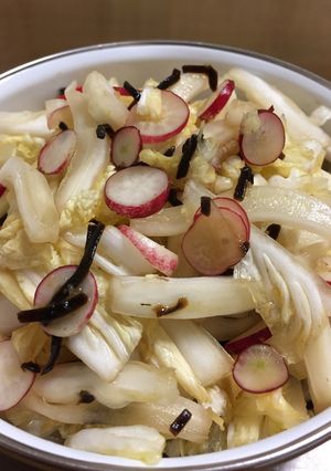 白菜とラディッシュの塩昆布サラダ-レシピのメイン写真