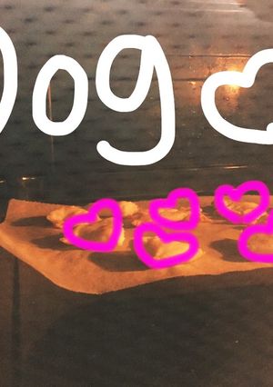 犬用クッキー-レシピのメイン写真