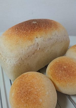 HBで捏ねて簡単。自家製天然酵母パン-レシピのメイン写真