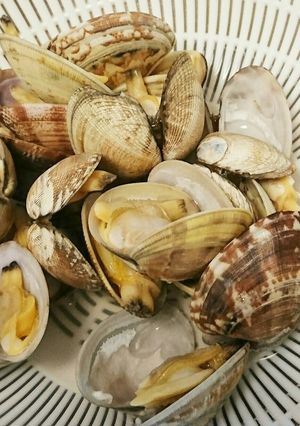 ツルンと飛び出せ☆貝のおまじない-レシピのメイン写真