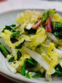 白菜とほうれん草のサッパリお浸し!-レシピのメイン写真