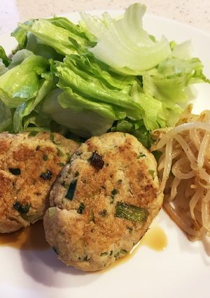 低糖質★あっさりヘルシーおからバーグ-レシピのメイン写真