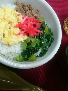 私の三色丼+1-レシピのメイン写真