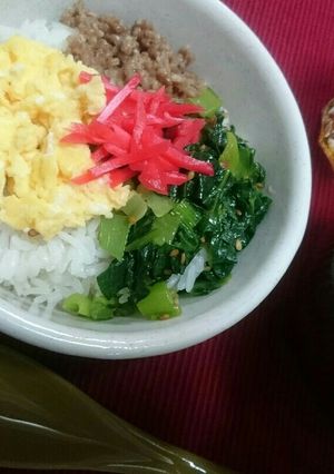 私の三色丼＋１-レシピのメイン写真