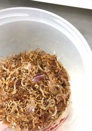 離乳食後期○しらすのふりかけ-レシピのメイン写真