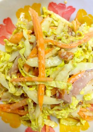 簡単な節約栄養満点の白菜サラダ-レシピのメイン写真
