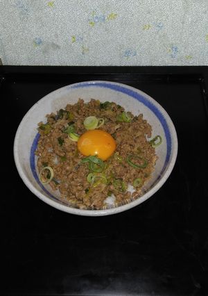 ネギたっぷりミンチ丼-レシピのメイン写真