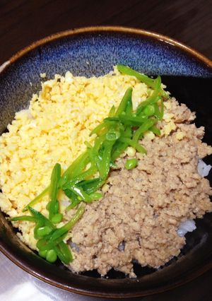 わが家の三色そぼろ丼〜♪-レシピのメイン写真