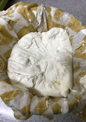 ヨーグルトからクリームチーズ-レシピのメイン写真