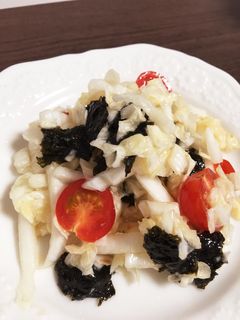 白菜の簡単サラダ☆-レシピのメイン写真