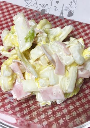 簡単副菜♥白菜のコールスローサラダ-レシピのメイン写真