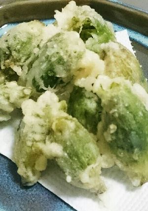 春を告げるサックサクなふきのとうの天ぷら-レシピのメイン写真